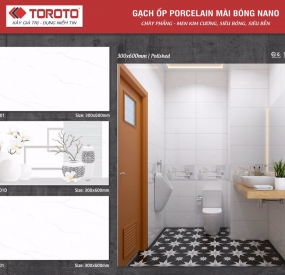 Gạch ốp tường tolet cao cấp30x60 3601+3601D+3601