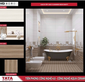 Gạch ốp tường tolet cao cấp30x60  3688+3688D+K-3689