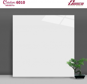 Gạch lát nền cao cấp 60x60 mã 6010