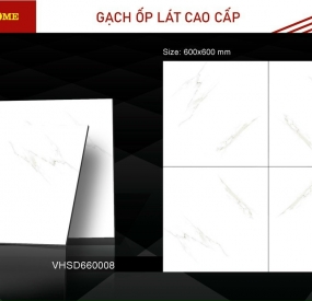 Gạch ốp lát cao cấp 60x60 VHSD660008