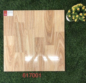 Gạch lát nền 60x60 cao cấp 617001