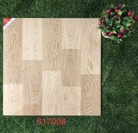 Gạch lát nền 60x60 cao cấp 617008