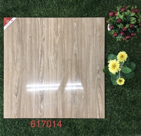 Gạch lát nền 60x60 cao cấp 617014