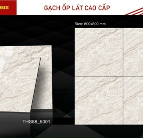 Gạch ốp lát cao cấp 80X80 THS88-5001