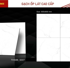 Gạch ốp lát cao cấp 80X80 THS88-5007