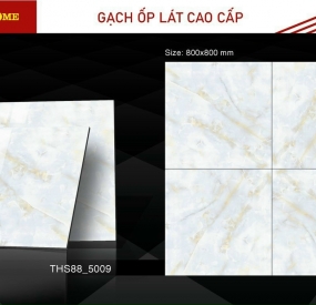 Gạch ốp lát cao cấp 80X80 THS88-5009