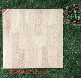 Gạch đá lát nền 60x60 cao cấp 9712 M