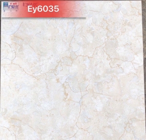 Gạch ốp lát cao cấp 60x60 EY6035