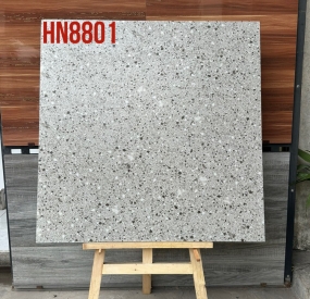 Gạch đá Terrazzo lát nền 80x80-HN-8801