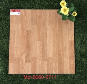 Gạch lát nền 60x60 cao cấp M 9711