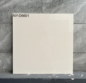 Gạch lát nền 60x60 cao cấp NY-D6601