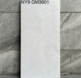 Gạch ốp tường 60x120 NY9 GM3601