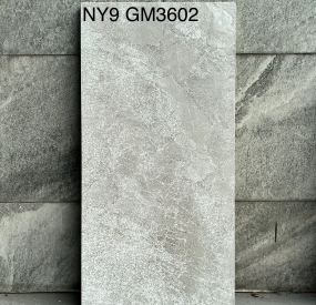 Gạch ốp tường 60x120 NY9 GM3602