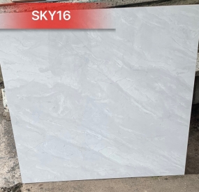 Gạch ốp lát cao cấp 60x60 SKY16