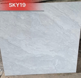 Gạch ốp lát cao cấp 60x60 SKY19