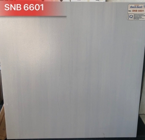 Gạch ốp lát cao cấp 60x60 SNB6601